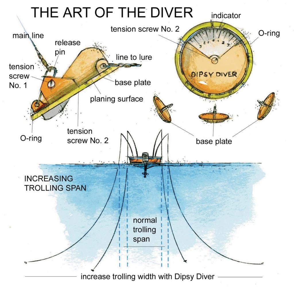 Sale > dipsy diver setup for walleye > in stock