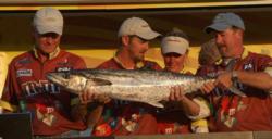 Team M&M's caught this 26-7 fish and finished second with a two-day weight of 78-1.