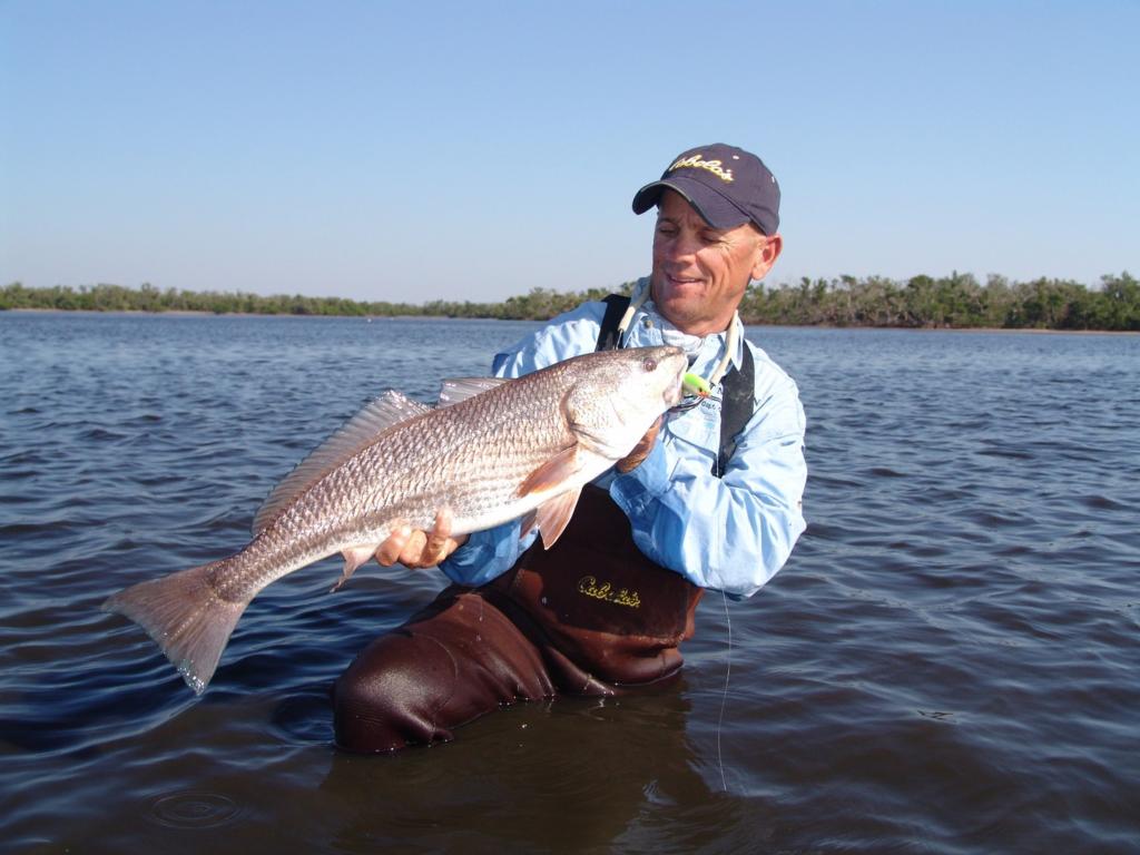 Image for Timing winter redfish
