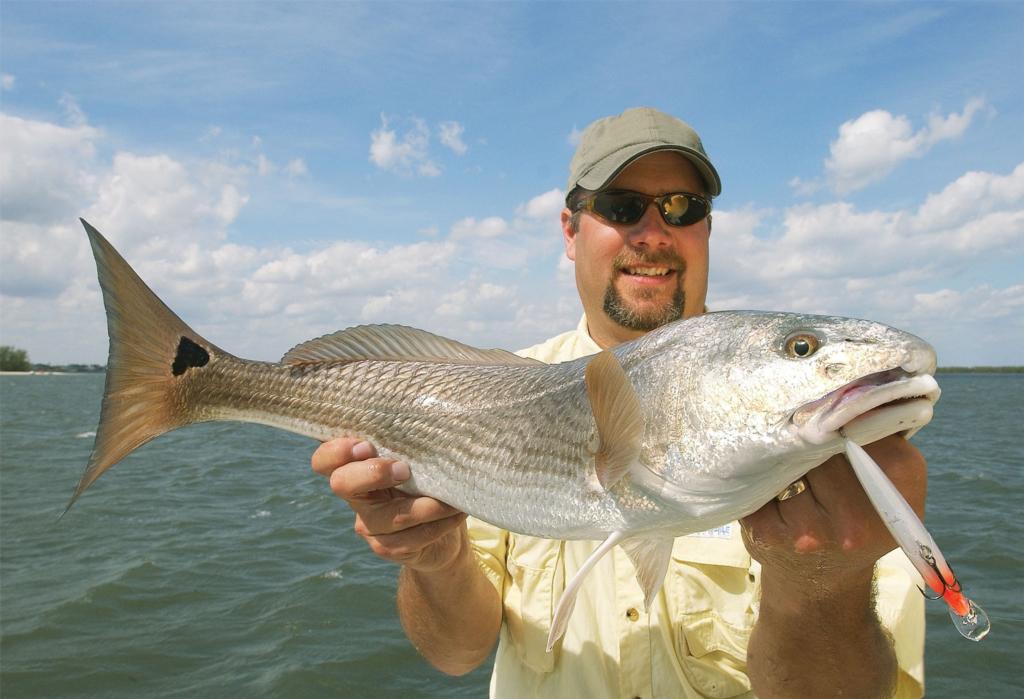 Skinny-water redfish - Major League Fishing