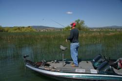 Pick your pockets and flip, pitch or cast soft plastics into promising spots.