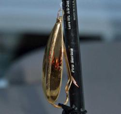 When redfish start moving to the edges of grass lines, a gold spoon makes an effective search lure.