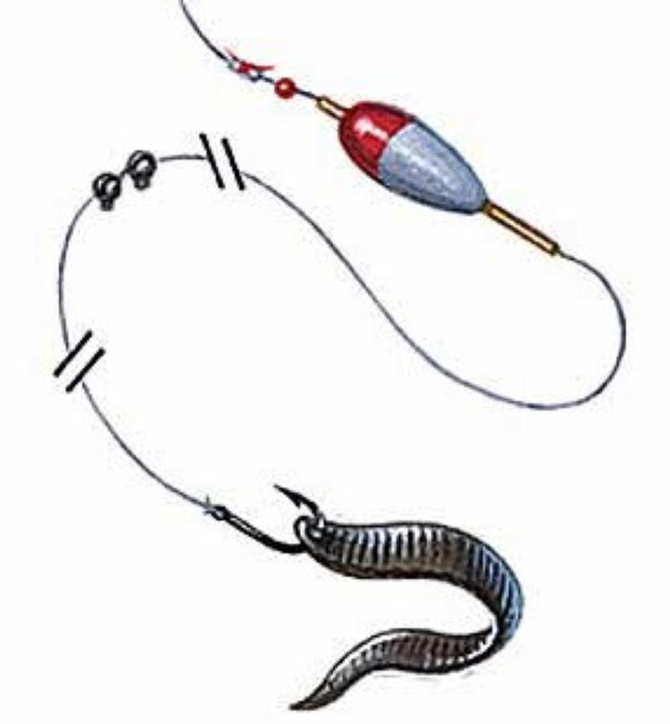 Slip-bobber walleyes - Major League Fishing