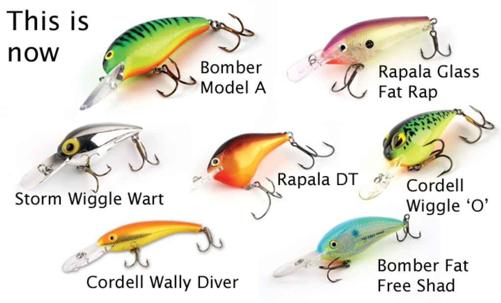 Rapala X-Rap 14 Long Cast Lure, Glass Ghost : : Sports, Fitness &  Outdoors