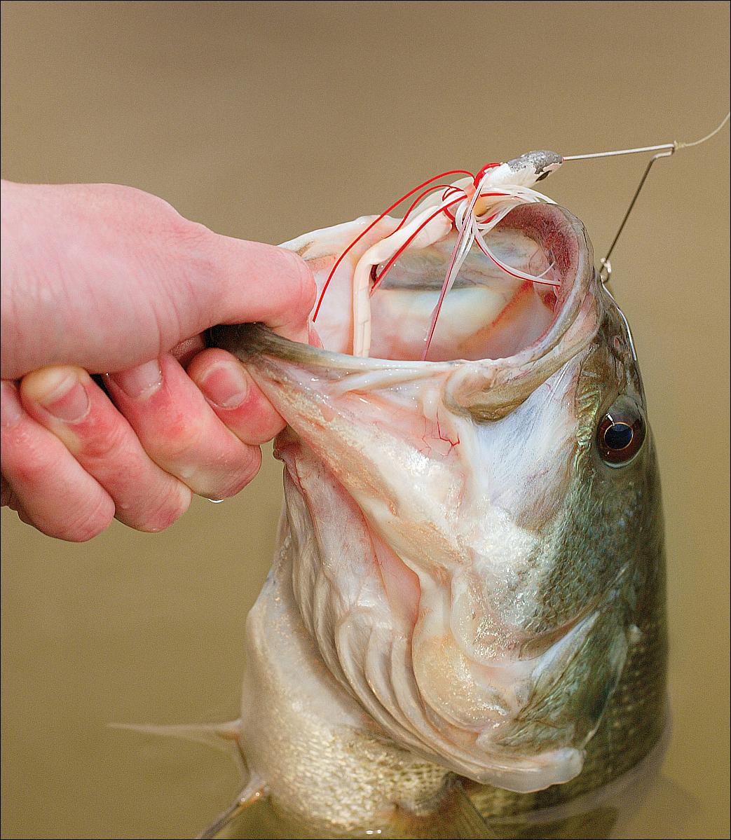 Navigating muddy waters and getting bass to strike can be hard, unless