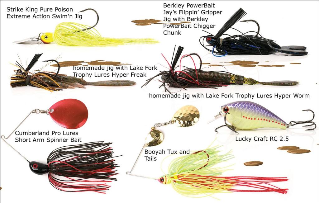 What Lures to Use for Bass After Rain  