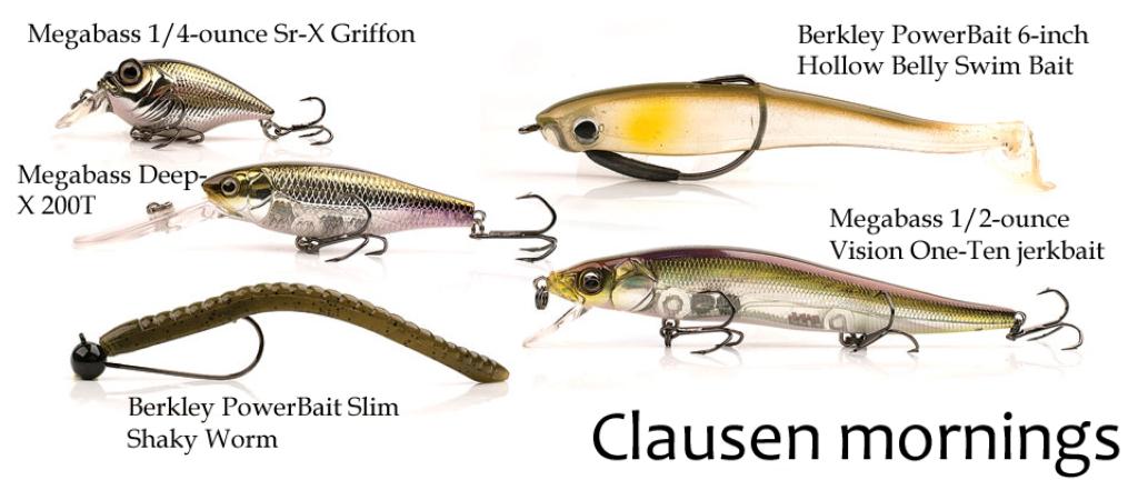 Best Bass Lures for Clear Water