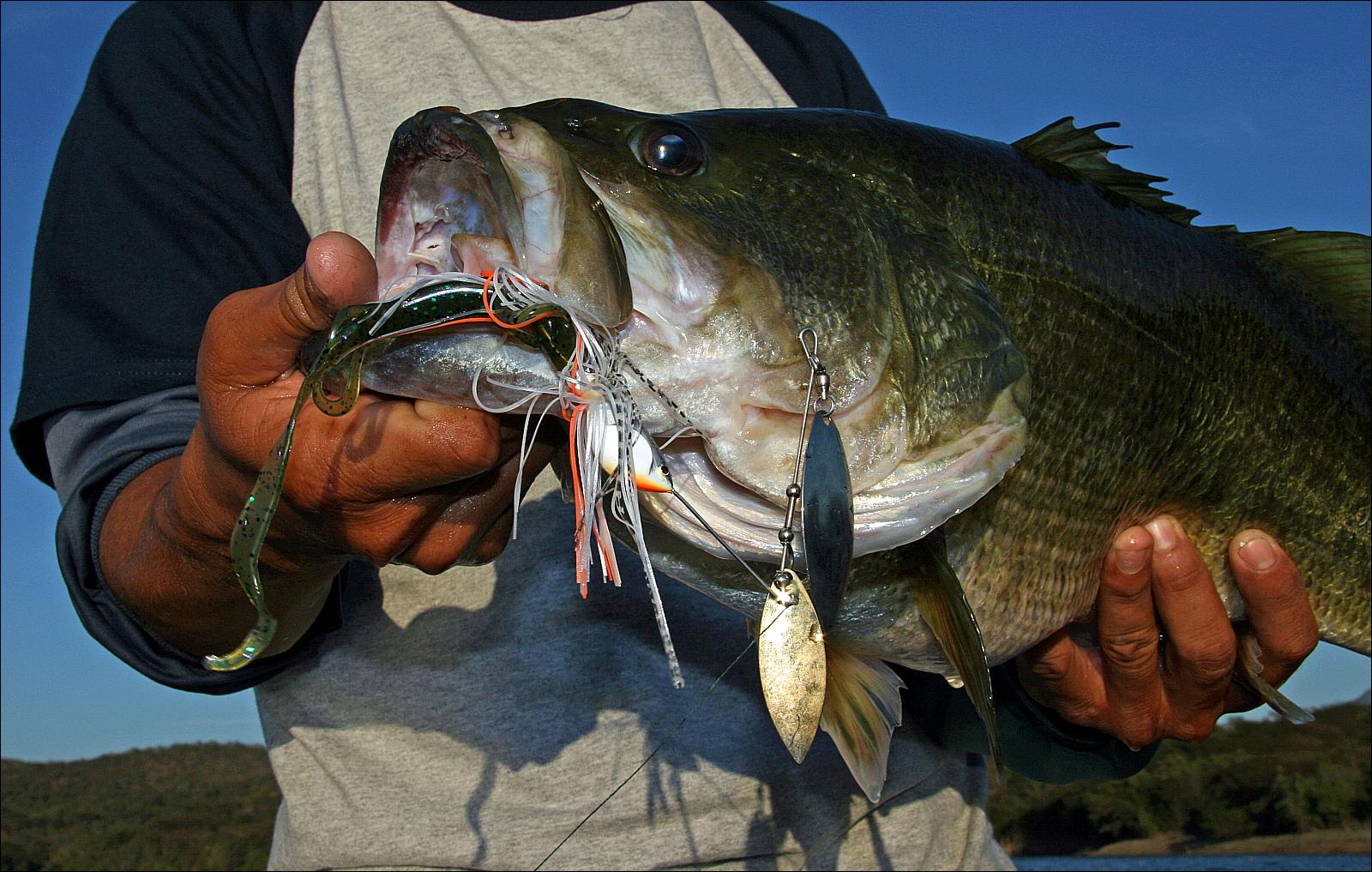 Angling and Fishing Products by Gary Yamamoto Custom Baits on 5/0 Sports -  5/0 Sports - Canada