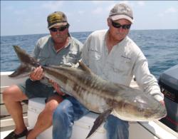 Cobia commonly rise to investigate an anchored boat. When these fish show themselves, pitching a live baitfish or a jig their way usually draws a strike.