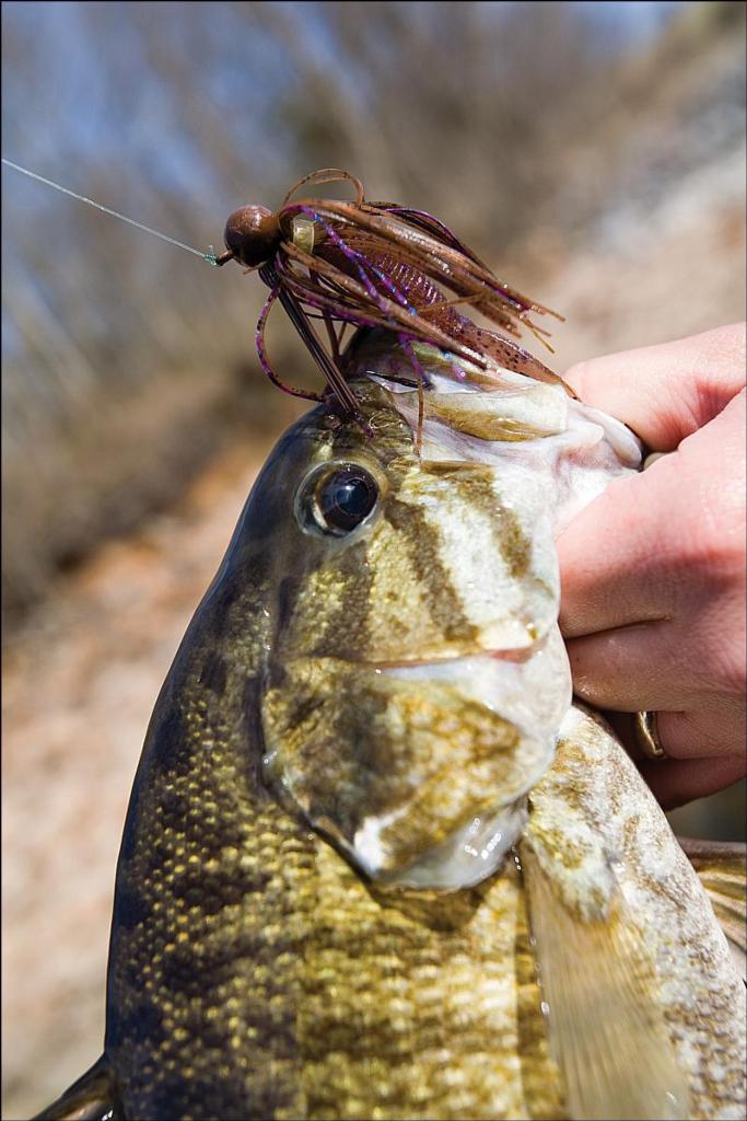 Image for Stacked like smallmouths