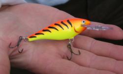 Scott Steil used a favorite crankbait, a Shad Rap in orange and hot-tiger color, en route to a 2009 FLW Walleye Tour Championship win. 