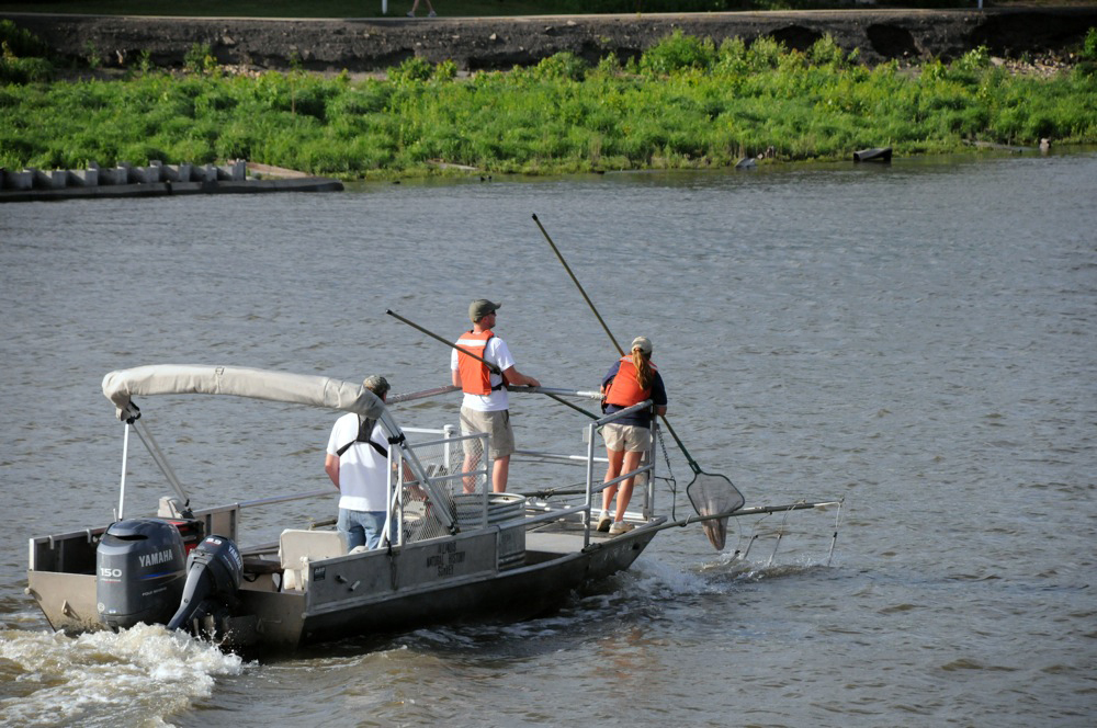 Image for Close encounter shows threat of invasive species