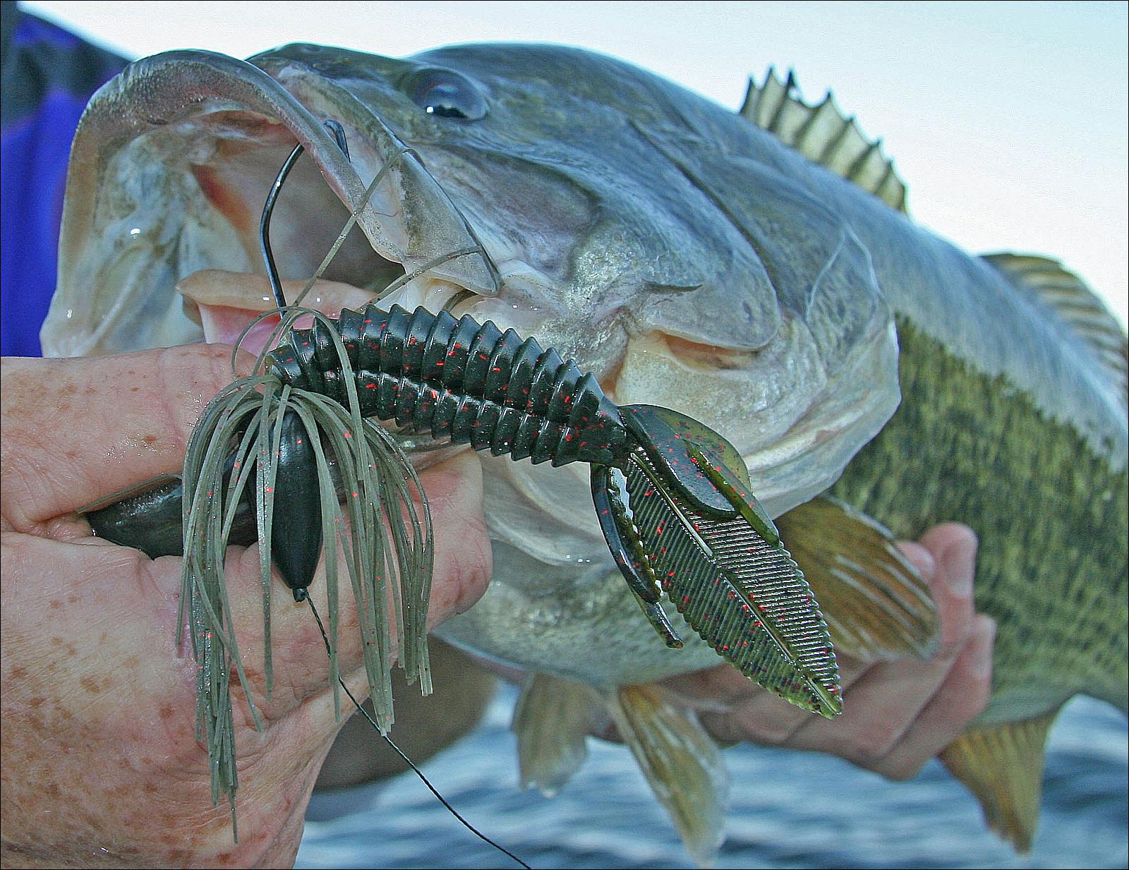 Best Punching and Texas Rig Setups for Bass in Heavy Matted