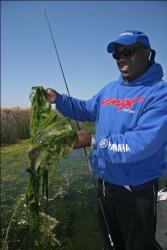 On the California Delta, Ishama Monroe knows that punching often means pulling up a pile of weeds along with a bass.