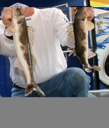 Co-angler leader Steve Beasley has been part of 8-pound efforts for two days.