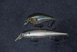 A crankbait and a ripbait will factor prominently into Charley Almassey