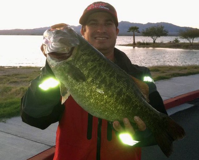Image for Kerr breaks Colorado River System smallmouth record