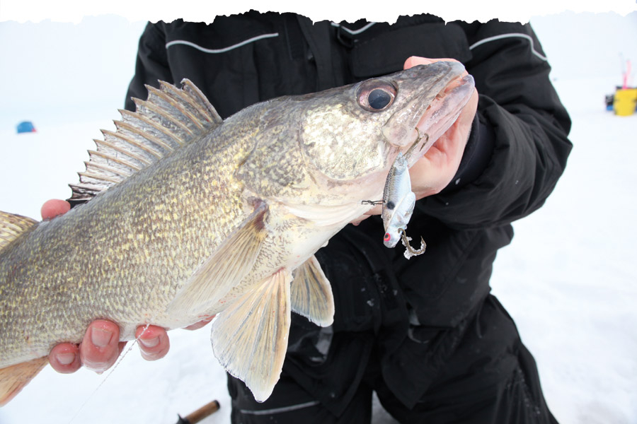  Shelt 15 Pcs Unpainted Fishing Walleye Hard Lures