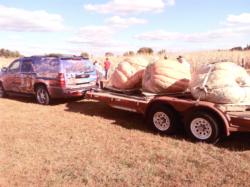 Steil is at home trailering almost anything, from his Ranger boat to his pumpkins. 