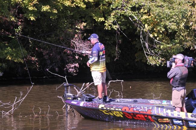 Randall Tharp spent the week pitching and spinnerbaiting laydowns and docks.