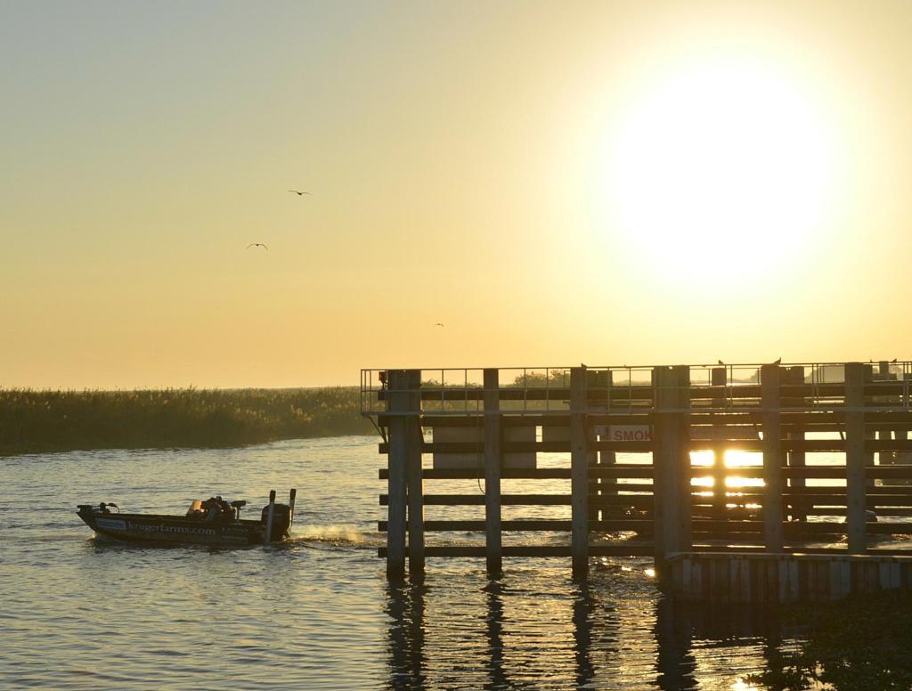 Image for FLW Podcast Episode 15: Greetings from Lake Okeechobee