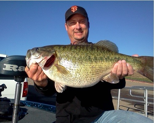 Image for Pierson catches near-record spotted bass
