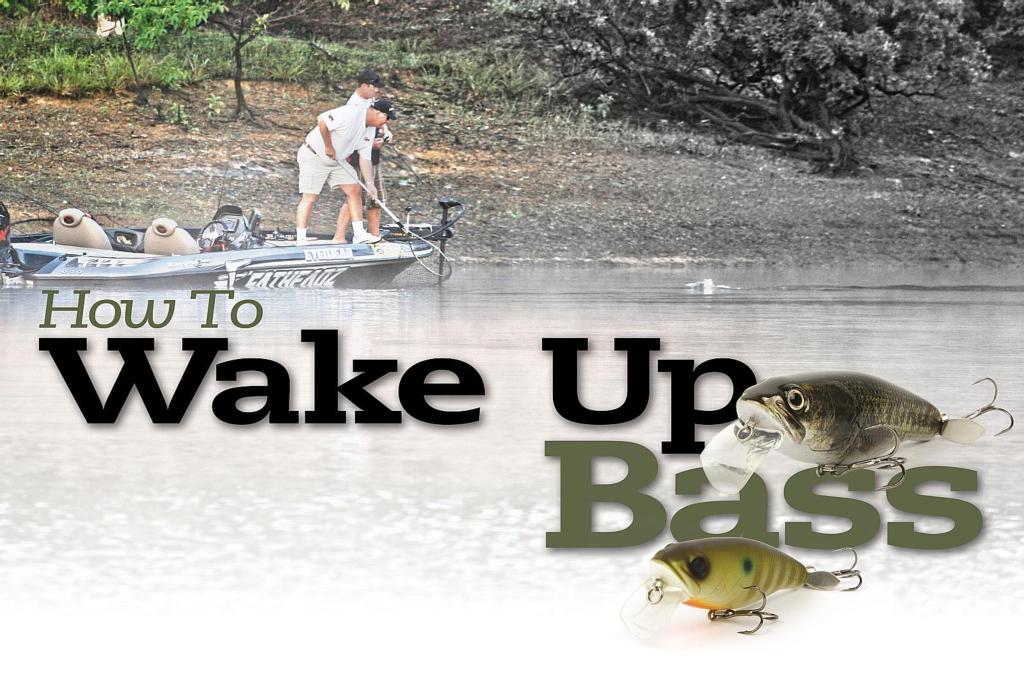 How to wake up bass - Major League Fishing