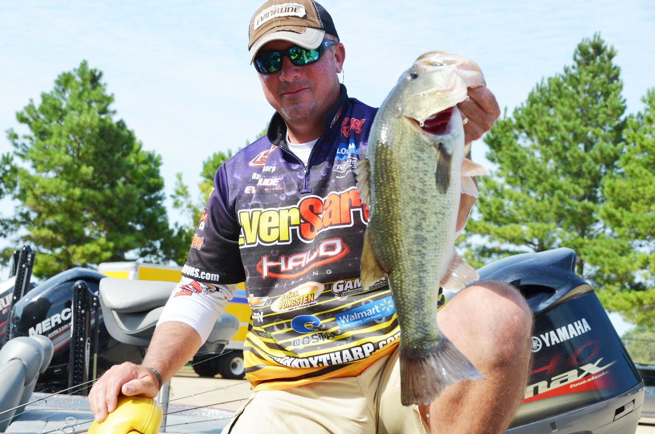 Tharp Leads Professional Bass Fishing's Forrest Wood Cup Presented By  Walmart - Major League Fishing