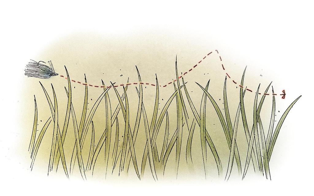 Image for Swim-jigging winter grass lines