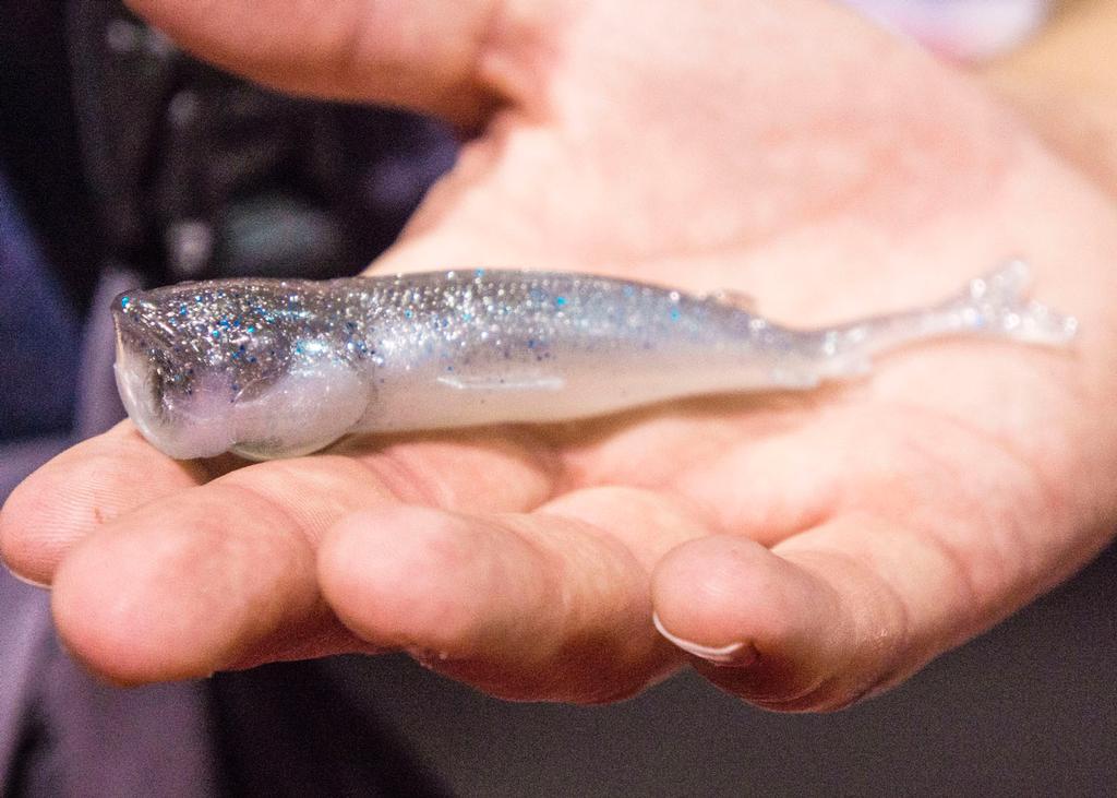Image for ICAST Trends: High-Tech Soft Baits