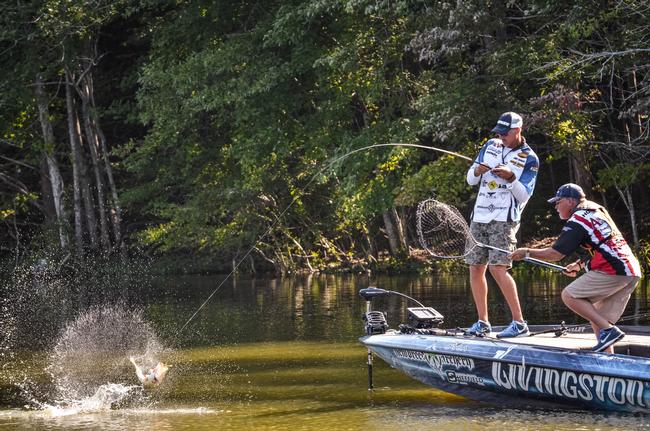 Andy Morgan tangles with an acrobatic largemouth on the opening morning of competition at the 2014 Forrest Wood Cup.