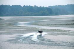 The grass is coming back strong at Rayburn as boats once again have to navigate trails through the matted hydrilla.