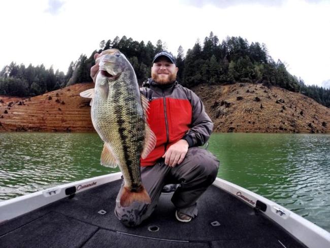The tremendous fish that Johnson and Meyer were catching are a product of a very unique situation. 
