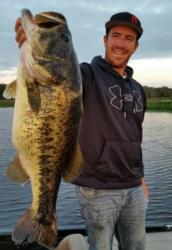 Jacob Wheeler is off to a good start with Larew baits, catching his biggest bass ever this week, a 12 1/2 pounder, while punching a Biffle Bug Jr. around pads 
in Florida.