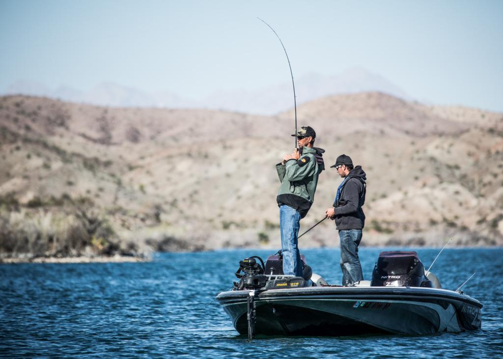 Image for More Top Patterns from Havasu
