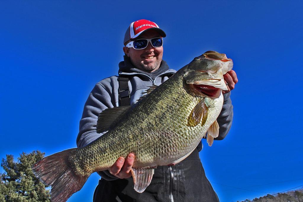 Image for Chickamauga Yields What May Be New Tennessee Record Largemouth