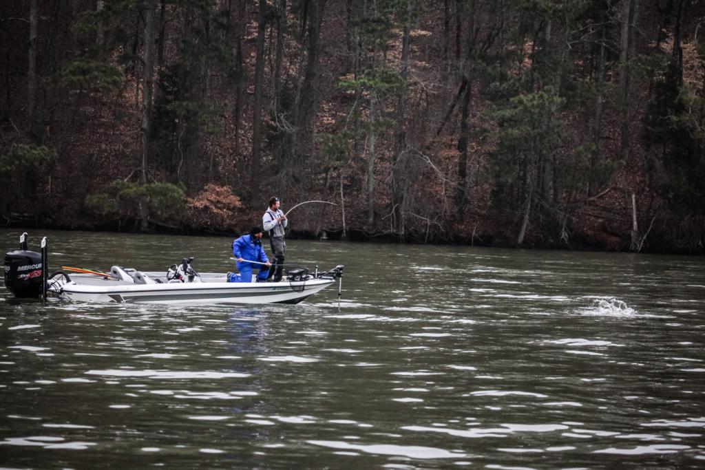 Image for Top 5 Patterns from Guntersville Day 2