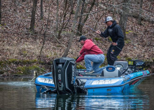 Pro Scott Martin wrestles one to the boat on day one of  the FLW Tour on Lewis Smith Lake.
