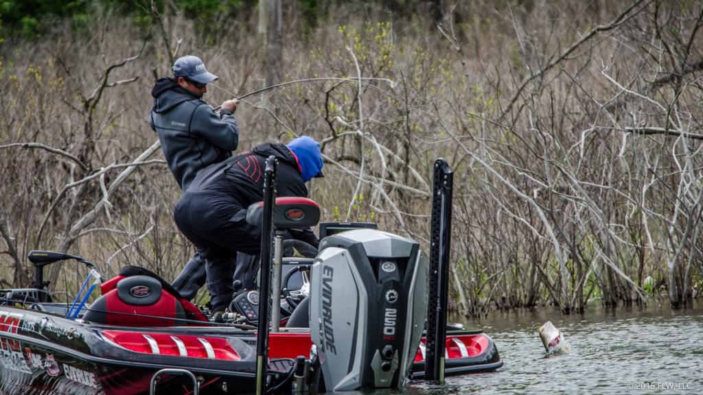 Image for Top 5 Patterns from Beaver Lake Day 1
