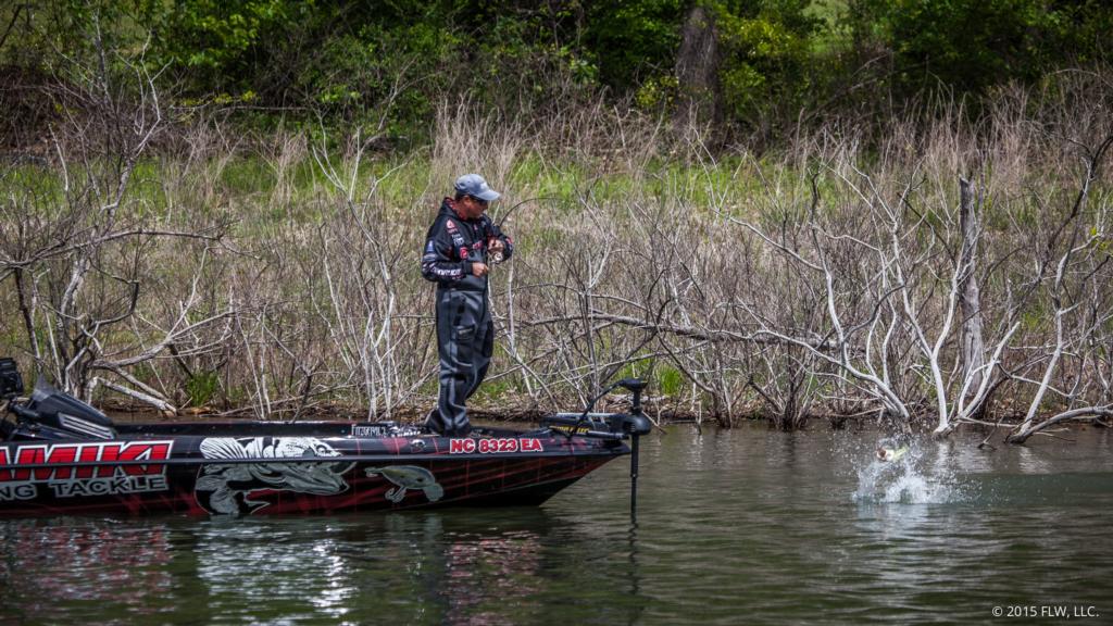 Image for Top 5 Patterns from Beaver Lake Day 2