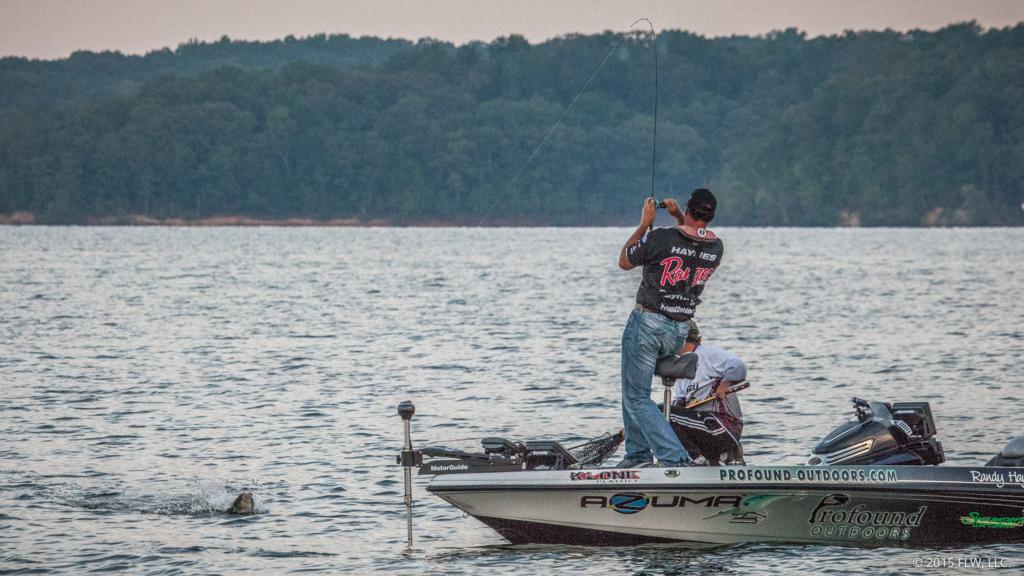 Image for Top 10 Patterns From Kentucky Lake