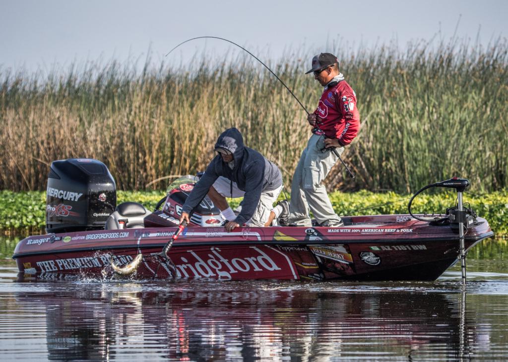 Image for Top 10 Patterns from the California Delta