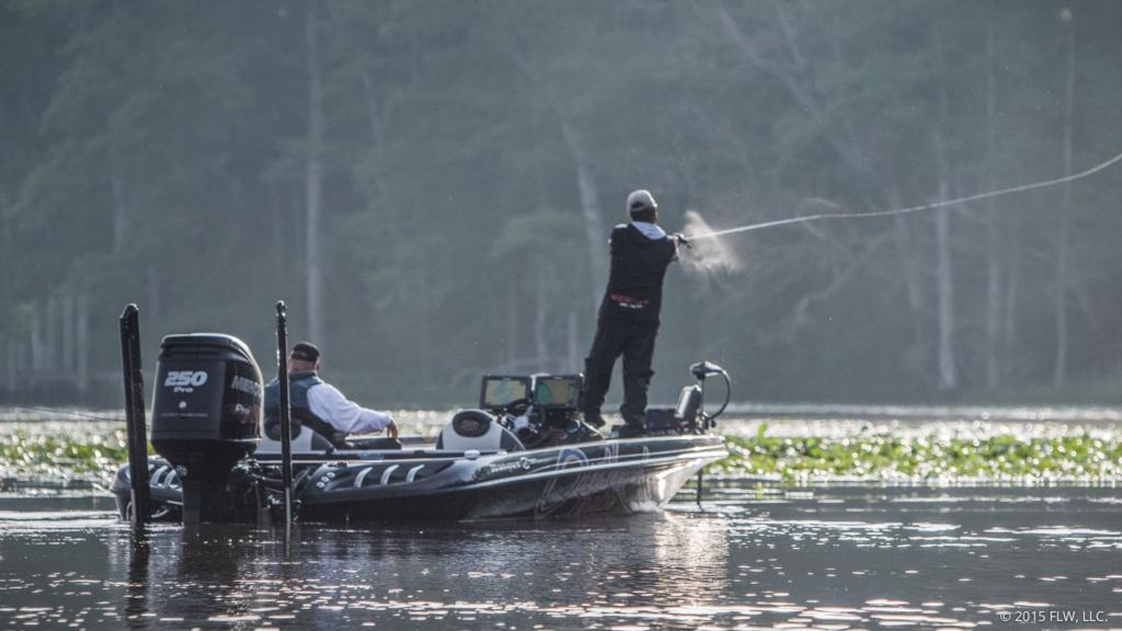 Image for Top 10 Patterns from the James River