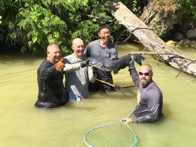 Jack Harrell, Wesley Strader, Shin Fukae and Chris Combs show off the fruits of a successful catfish noodling trip on Watts Bar. 