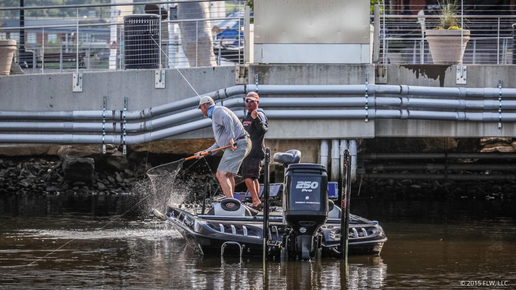 Image for Top 5 Patterns from Potomac River Day 1