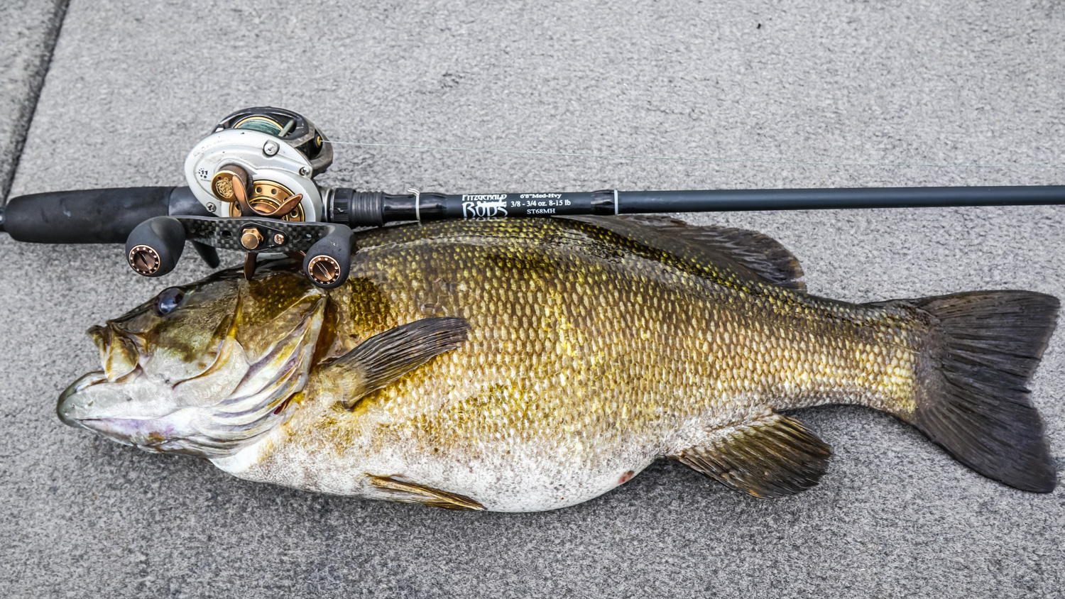 Why October is the Best Time for Bass Fishing