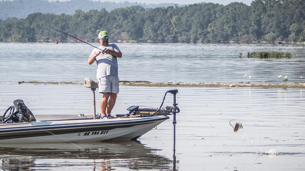 Image for DARDANELLE MIDDAY UPDATE DAY 2