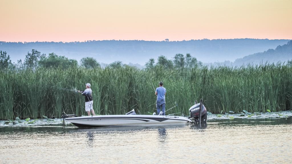 Image for Top 10 Patterns from Lake Dardanelle