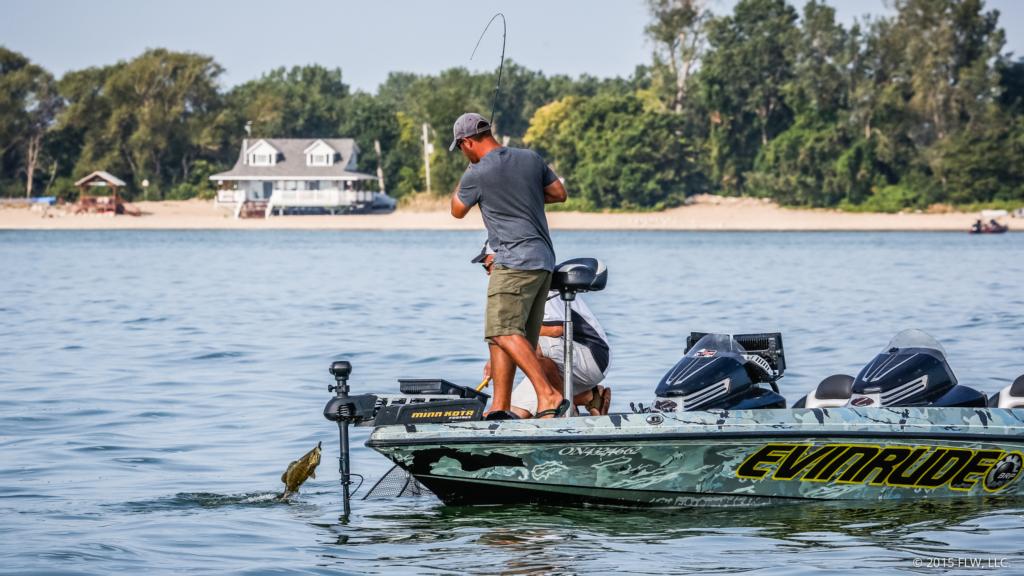 Image for Top 5 Patterns From Lake Erie Day 2