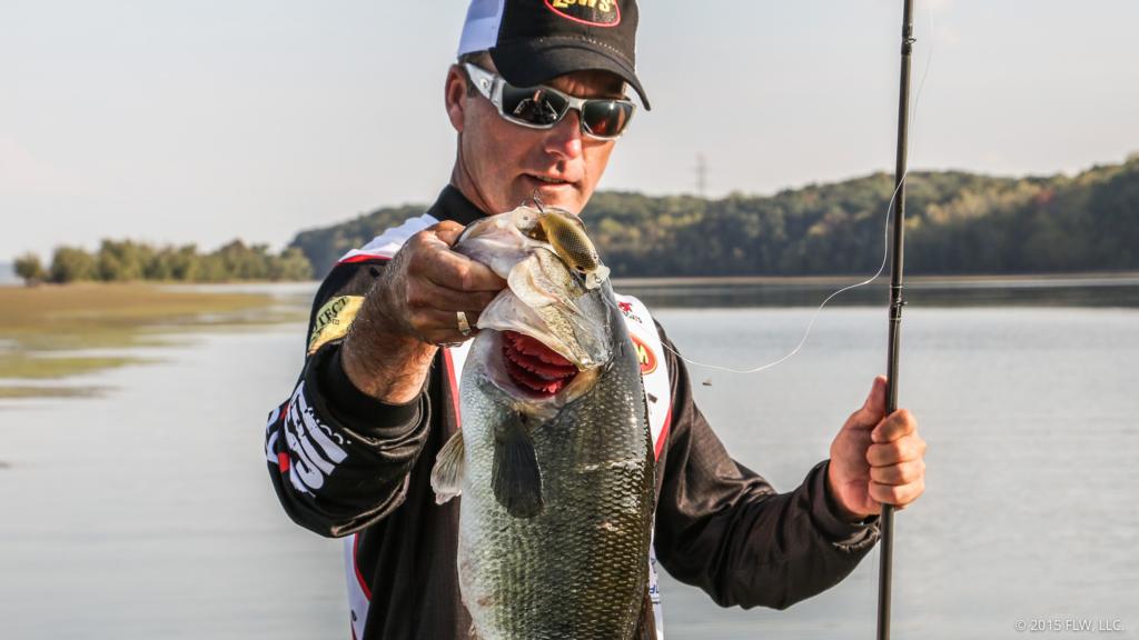 Freshwater fishing: It's almost like the bass think they're safe
